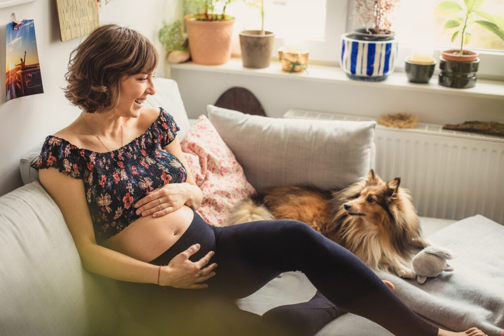 Babybauchfotos Lüneburg – Schwangere mit Hund auf Sofa